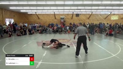 Semifinal - Camdyn Struble, Dansville vs Bridger Lehman, Millerton