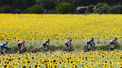 Regardez au Canada: Vuelta a España Étape 8