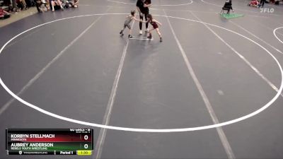 Round 1 - Aubrey Anderson, Rebels Youth Wrestling vs Korbyn Stellmach, Minnesota