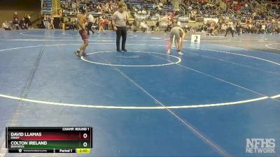 113 lbs Champ. Round 1 - Colton Ireland, Bismarck vs David Llamas, Minot