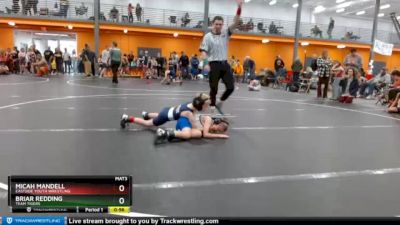 58 lbs Semifinal - Micah Mandell, Eastside Youth Wrestling vs Briar Redding, Team Tigers