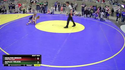 45 lbs Semifinal - Adalynn Brison, Hawk Mat Club vs Natilea Wilson, SCMC