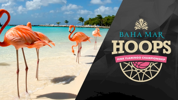 Baha Mar Pink Flamingo