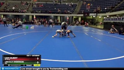 45 lbs 1st Place Match - Lincoln Anderson, DGF vs Liam Gilbert, DC Elite