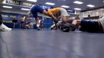 Family Fued: Tirapelle vs Tirapelle