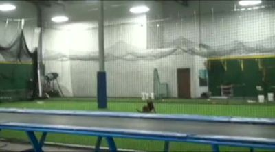 Meet Olympic Champion Jaycie Phelps' Dog