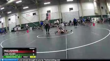 65 lbs Round 1 (6 Team) - Tate Holmes, Kearney Matcats - Gold vs Riley Pedersen, G.I. Grapplers Gold