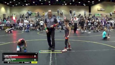 56 lbs Round 2 (6 Team) - Julian Mata, Mi Pitbulls vs Liam Howarth, Belding