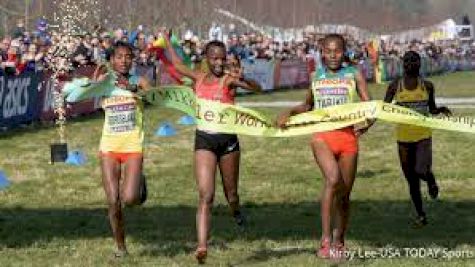 2024 World Cross Country Championships