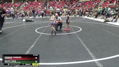 46 lbs Champ. Round 2 - Joaquin Vasquez, Duran Elite vs Brody Hale, Valley Center Wrestling