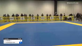 SAUL VIAYRA vs PEDRO HENRIQUE MONTEIRO PALHARES 2020 IBJJF Pan No-Gi Championship