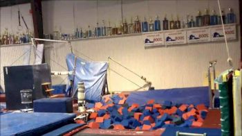 Back At Adult Gymnastics!