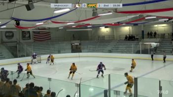 Replay: Home - 2024 CHI Crush vs CHI Cougars | Jan 5 @ 12 PM