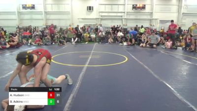 95 lbs Pools - Ayden Hudson, Ohio Gold 24K vs Blake Adkins, Ares W.C. (MI)