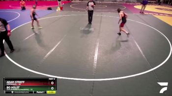215 lbs Finals (8 Team) - Bo Holst, Z-M (Zumbrota/Mazeppa) vs Adam Streff, Centennial