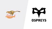 2019 Toyota Cheetahs vs Ospreys Rugby | Guinness Pro14