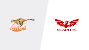 2019 Toyota Cheetahs vs Scarlets | Guinness Pro14