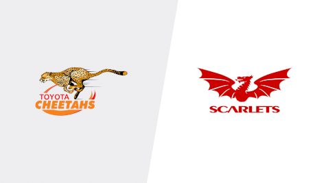 2019 Toyota Cheetahs vs Scarlets | Guinness Pro14