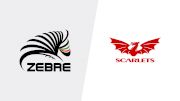 2019 Zebre Rugby Club vs Scarlets | Guinness Pro14