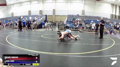 165 lbs Round 3 - Drake Gibson, MI vs Long Ngo, IL