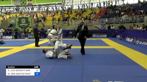 ANDRÉ LUIZ GOVAS P. BARREIRA vs WILIAN DOS SANTOS PONTES 2024 Brasileiro Jiu-Jitsu IBJJF