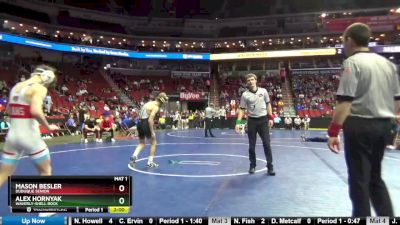 3A-120 lbs Cons. Round 2 - Alex Hornyak, Waverly-Shell Rock vs Mason Besler, Dubuque Senior