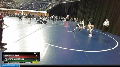 140 lbs Cons. Round 3 - Cameron Andersen, Iowa vs Marek Kelsall, Big Game Wrestling Club