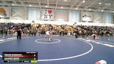 145 lbs Cons. Round 3 - Dominick Knapp, Geneva Youth Wrestling vs Trevor Rodriguez, Shenendehowa Wrestling Club