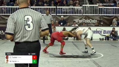 133 lbs Final - Chas Tucker, Cornell vs Nick Farro, Lehigh