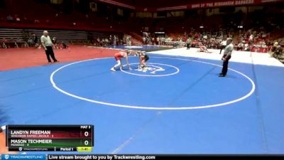 120 lbs D1 - Semi-finals (fri 7:30pm.) - Landyn Freeman, Wisconsin Rapids Lincoln vs Mason Techmeier, Muskego