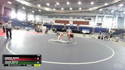 215 lbs Semifinals (4 Team) - Ethan Gallo, Minisink Valley vs Adrian Amaya, East Islip HS