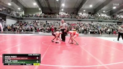 150 lbs Cons. Round 3 - Phillip Gann, Rogersville Wrestling Club-AA vs Amos Parks, Oak Grove Little League Wrestling Club-AAA