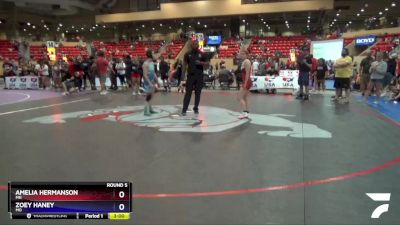 100 lbs Round 5 - Amelia Hermanson, MN vs Zoey Haney, MO