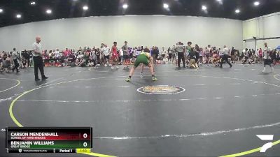 167 lbs Quarterfinal - Benjamin Williams, Great Bridge vs Carson Mendenhall, School Of Hard Knocks