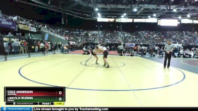 3A 170 lbs Quarterfinal - Cole Anderson, Gooding vs Lincoln Rudkin, Parma