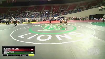 5A-138 lbs Quarterfinal - Gannon McNulty, Eagle Point vs Eric Larwin, Bend