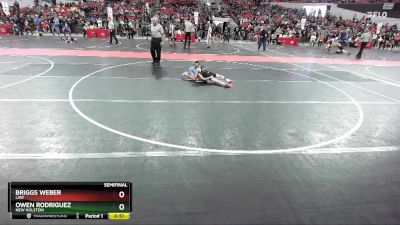 60 lbs Semifinal - Owen Rodriguez, New Holstein vs Briggs Weber, LAW