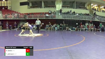 113 lbs Round 1 (8 Team) - Alex Gates, Grand Island vs Trip Johnson, Gretna