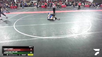 95 lbs Cons. Round 3 - Liam Carey, Sarbacker Wrestling Academy vs Landynn Miller, Mauston Talons