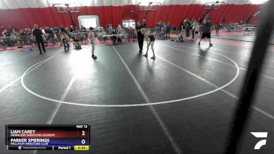 97 lbs 3rd Place Match - Liam Carey, Sarbacker Wrestling Academy vs Parker Spierings, Mollitium Wrestling Club