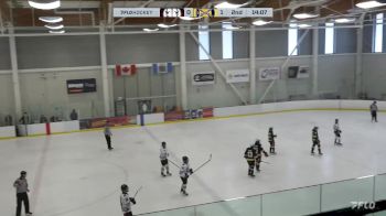 Replay: Home - 2024 Rebels vs STA Sabres | Mar 22 @ 3 PM