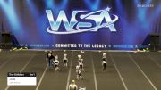 JAGS - JAGS Kittens [2022 L1 Tiny -Exhibition Day 1] 2022 WSA Mobile