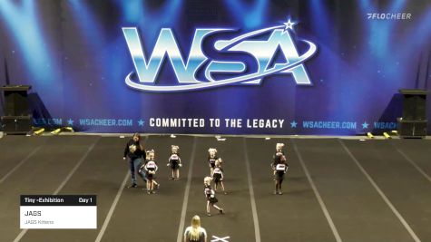 JAGS - JAGS Kittens [2022 L1 Tiny -Exhibition Day 1] 2022 WSA Mobile