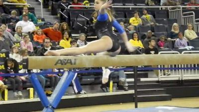 Michigan (Stephanie Colbert) Exhibition