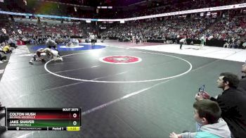 D2-132 lbs Quarterfinal - Colton Hush, Baldwin-Woodville vs Jake Shaver, Sheboygan Falls