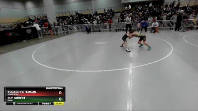 84 lbs Quarterfinal - Tucker Peterson, Minnesota vs Ely Groom, Iowa