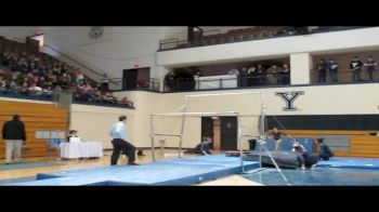 Yale (Tara Feld) - 9.625