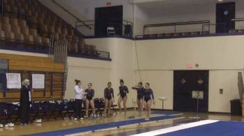 Yale (Stephanie Goldstein) - 9.475