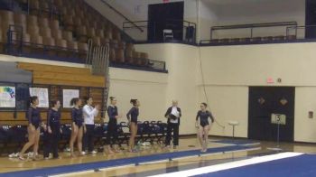 Yale (Tara Feld) - 9.775