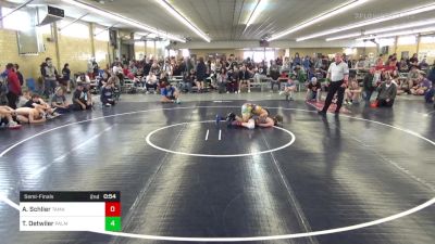 125 lbs Semifinal - Aiden Schlier, Tamaqua vs Tyler Detwiler, Palmyra